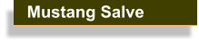 Carols Famous Mustang Salve To Heal & Sooth.