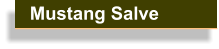 Carols Famous Mustang Salve To Heal & Sooth.
